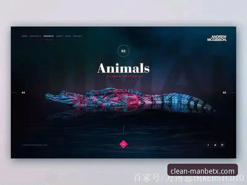 新万博纯净版v2.1.0深度剖析：官方正版下载通道背后的安全逻辑与用户体验解析