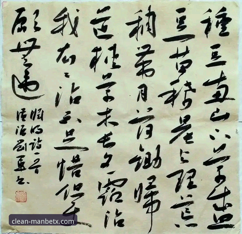 世界杯绝杀之夜：民主刚果重返舞台使用指南——从新万博纯净版v2.2.0看门道