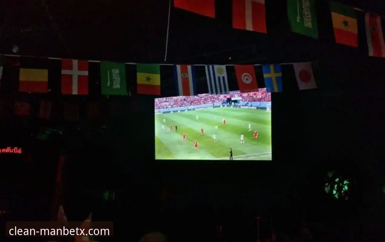 意大利世界杯出局事件与纯净观赛体验详解